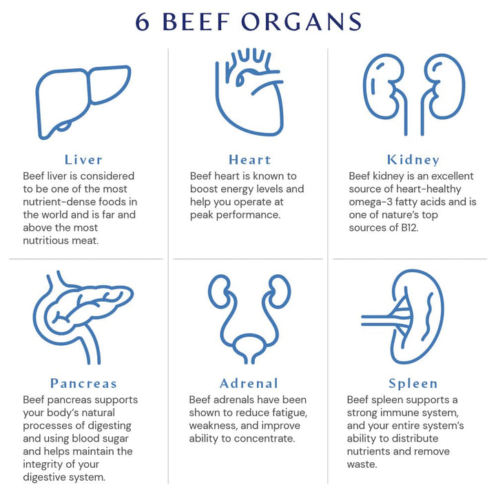BodyHealth Organ+ Grass-Fed Glandular Organ Complex, Grassfed Beef Organ Supplement, Dessicated Beef Liver, Heart, Kidney, Pancreas, Spleen, Non GMO, Adrenal, Supplement, (150 Capsules)