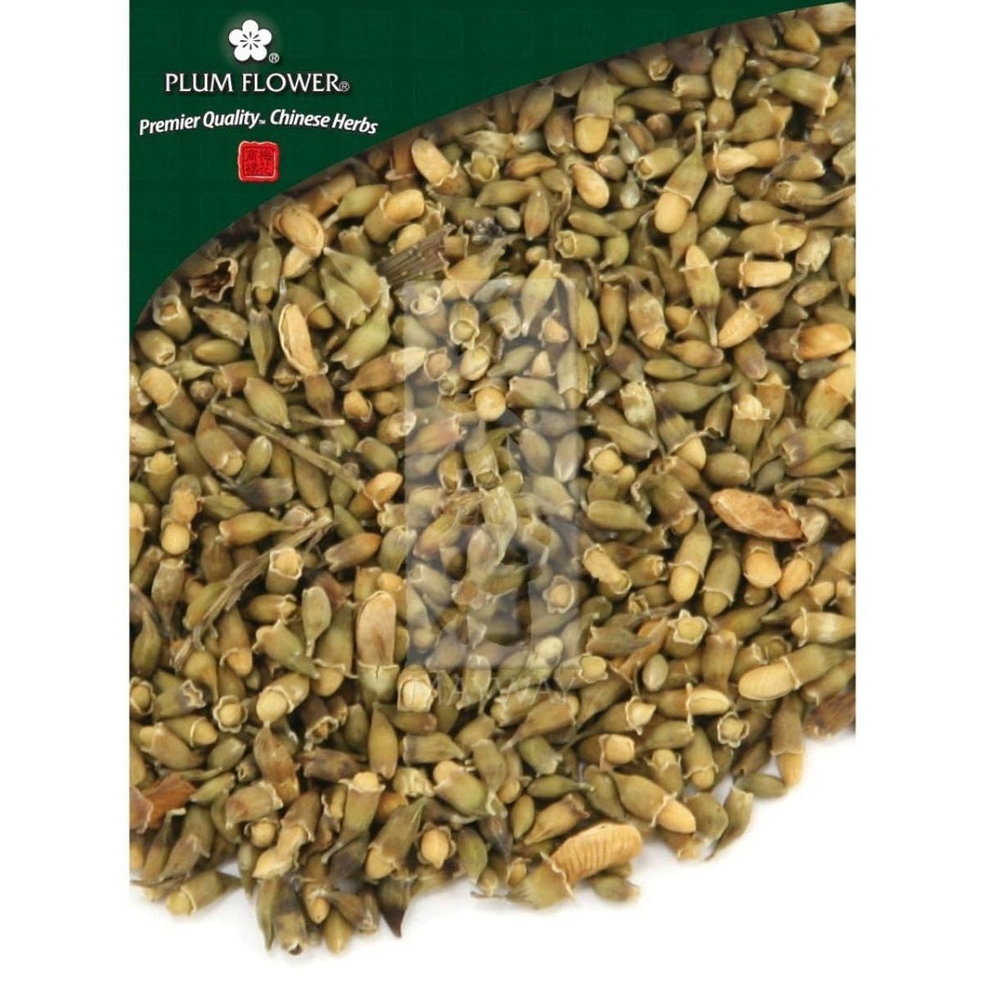 Plum Flower, Huai Hua, Sophora japonica flower, Whole Herb, 500 grams by MayWay