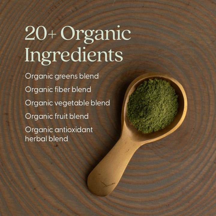 New Chapter All-Flora Digestive Super Greens Powder for Gut Health - Clinical-Strength Digestive Enzymes + USDA Organic Chlorella, Spirulina, Fermented Greens – Delicious &amp; 100% Vegan, 30 Servings
