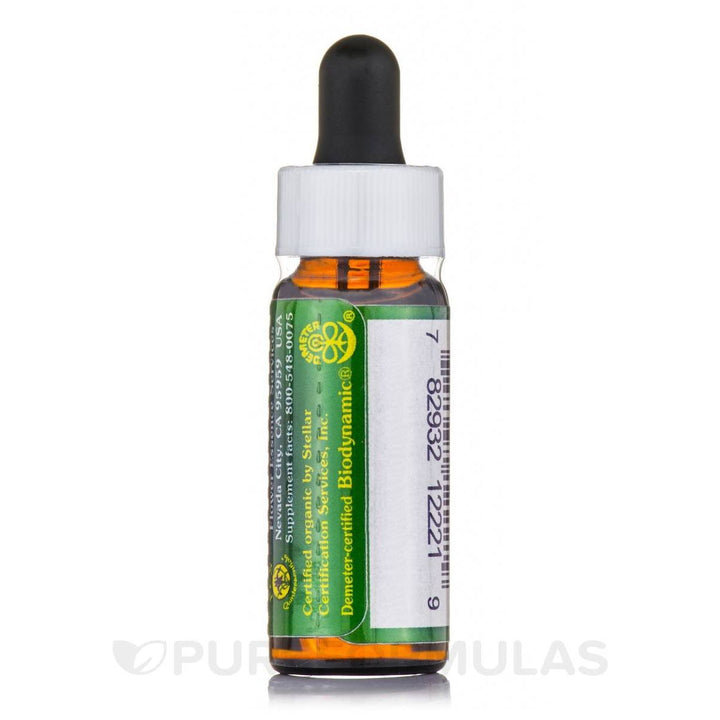 Almond Dropper 0.25 Ounces