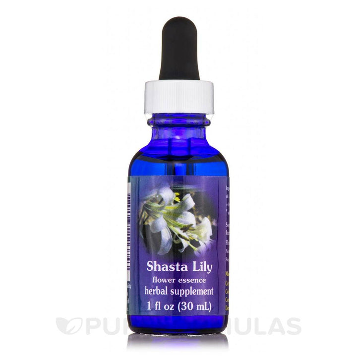 Shasta Lily Dropper 1 Ounces