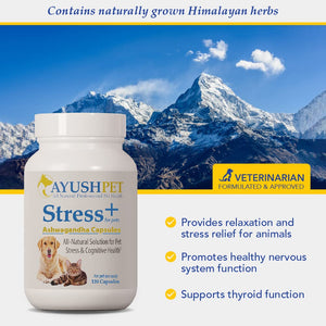 Steel Blue Ayush Herbs Ashwagandha Vet Stress Support 120 Capsules