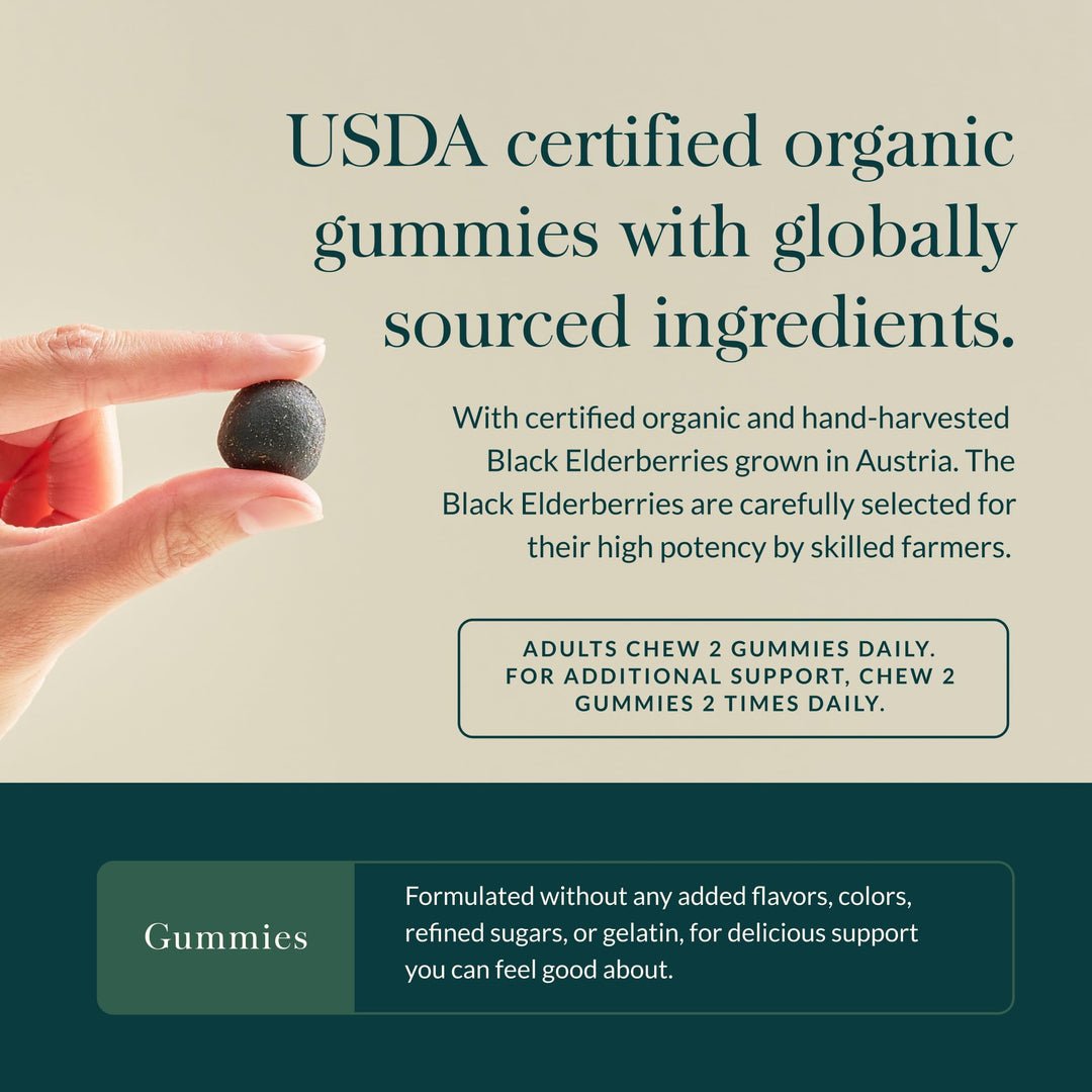 Gaia Herbs Black Elderberry (Sambucus nigra) Extra Strength Gummies - Delicious Immune Support Supplement* - Certified Organic Black Elderberries for Immune System Support* - 120 Gummies (60 Servings)