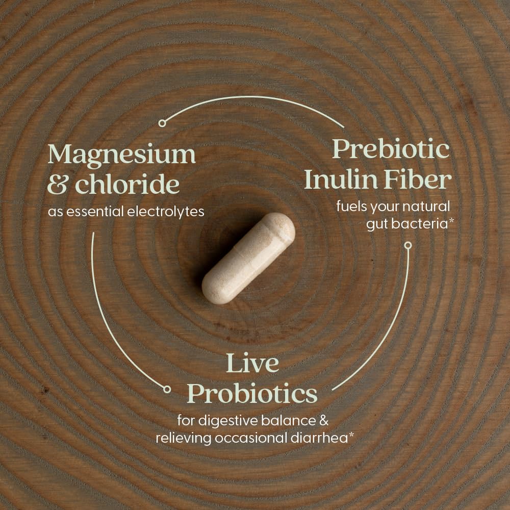 New Chapter All-Flora Probiotic Flora Fortify, Ultra-Concentrated Probiotics for Digestive Health, Survives Antibiotic Use, with Electrolytes + Inulin Prebiotic Fiber, 100% Vegan, 14-Day Supply