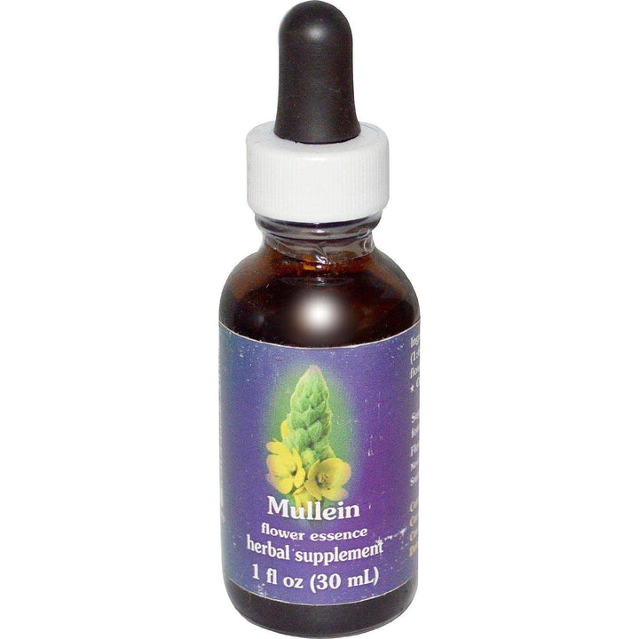 Scotch Broom Dropper 1 Ounces