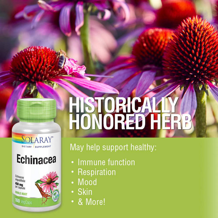 SOLARAY Echinacea Angustifolia Root 450 mg | Healthy Immune &amp; Respiratory Function Support | Lab Verified | 100 VegCaps