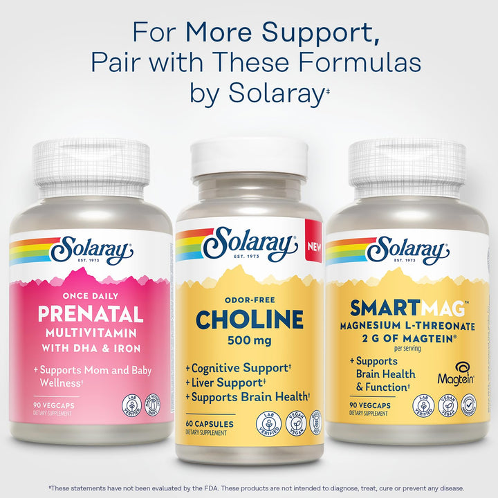 SOLARAY Choline 500 mg – Cognitive, Brain Health and Liver Support Supplement – Powerful Brain Supplement &amp; Choline Source for Adults – Odor-Free, Vegan Liquid VegCaps – 60 Servings, 60 Capsules