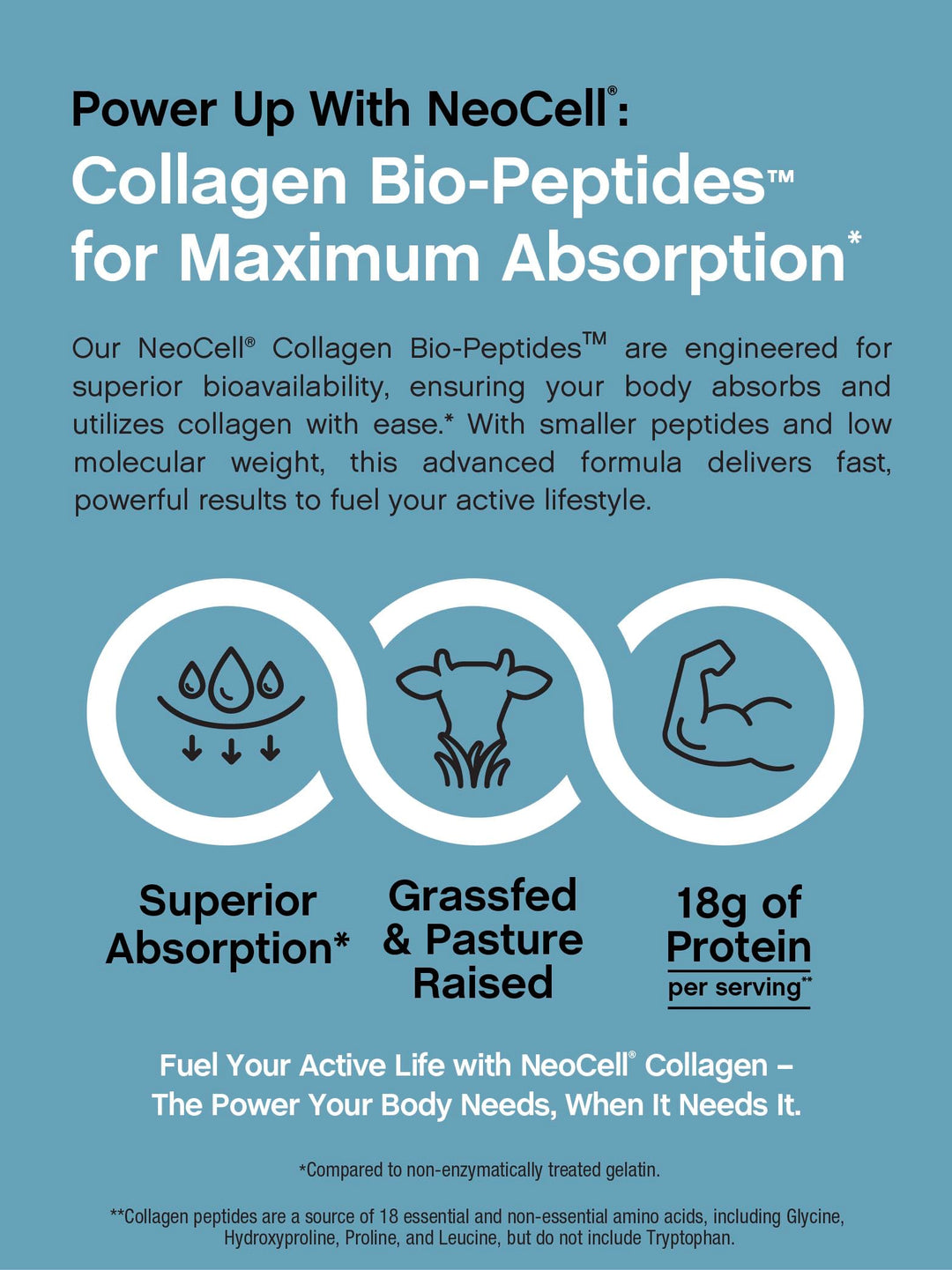 NeoCell Collagen Bio-Peptides Powder | 10oz | Super Hair, Skin, and Nails | Superior Absorption | Grassfed Protein Supplement | Advanced with 18 Essential Amino Acids