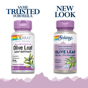 SOLARAY Guaranteed Potency Olive Leaf Extract Double Strength, Veg Cap (Btl-Plastic) 500mg | 30ct  37575 - The Oasis of Health
