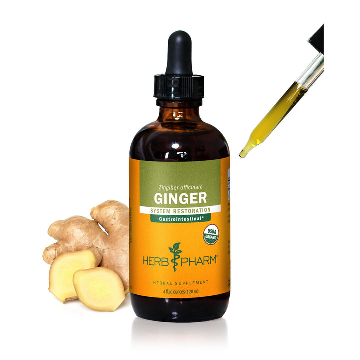 USDA Organic Ginger Root Extract*: Digestion &amp; Circulatory Support | Ginger Tincture for Occasional Nausea | Non-Bitter Vegan Digestive Supplement | 4 Oz, Up to 3 Months Supply