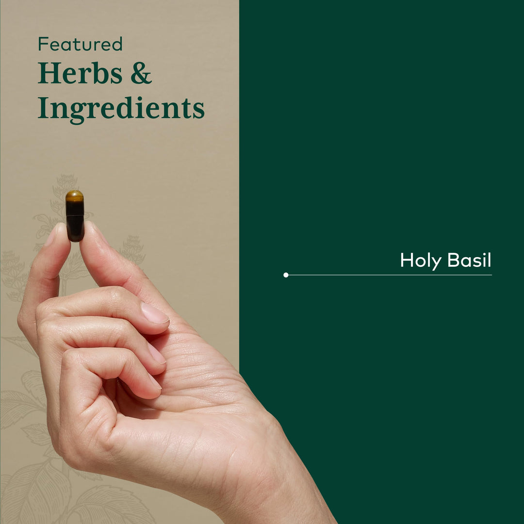 GAIA HERBS PRO Holy Basil - Stress Support Supplement - Contains Organic Holy Basil Leaf - Vegan, Gluten-Free &amp; Soy-Free - 60 Liquid Phyto-Caps (60 Servings)