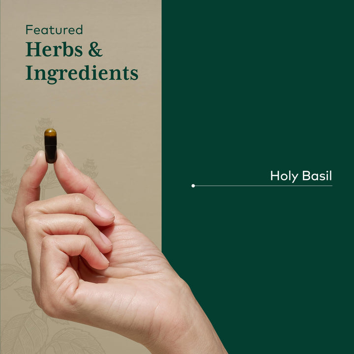 GAIA HERBS PRO Holy Basil - Stress Support Supplement - Contains Organic Holy Basil Leaf - Vegan, Gluten-Free &amp; Soy-Free - 60 Liquid Phyto-Caps (60 Servings)