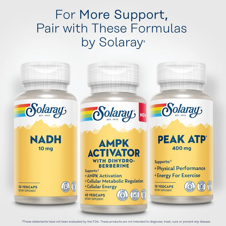 SOLARAY AMPK Activator with Dihydroberberine, 60 CT