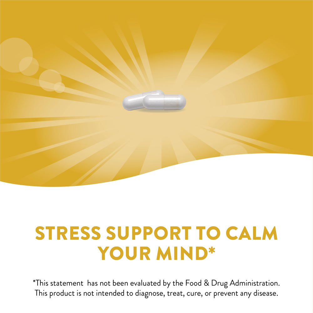 Goldenrod Nature's Way Enzymatic Therapy L-theanine 60 cap 09556