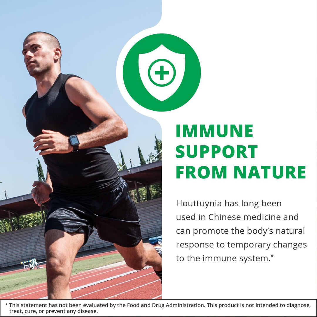 NutraMedix Houttuynia - Gastrointestinal, Immune System &amp; Microbial Support Tincture - Helps with Digestion, GI Health &amp; Body Detox Cleanse - Plant-Based Liquid Drops (1 oz / 30 ml)
