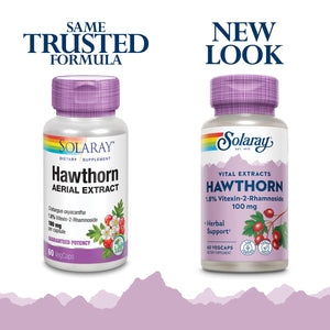 SOLARAY Hawthorn Extract 100mg - 60 CT | Heart Health Support  03660 - The Oasis of Health