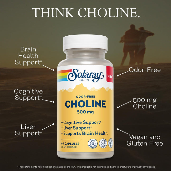 SOLARAY Choline 500 mg – Cognitive, Brain Health and Liver Support Supplement – Powerful Brain Supplement &amp; Choline Source for Adults – Odor-Free, Vegan Liquid VegCaps – 60 Servings, 60 Capsules