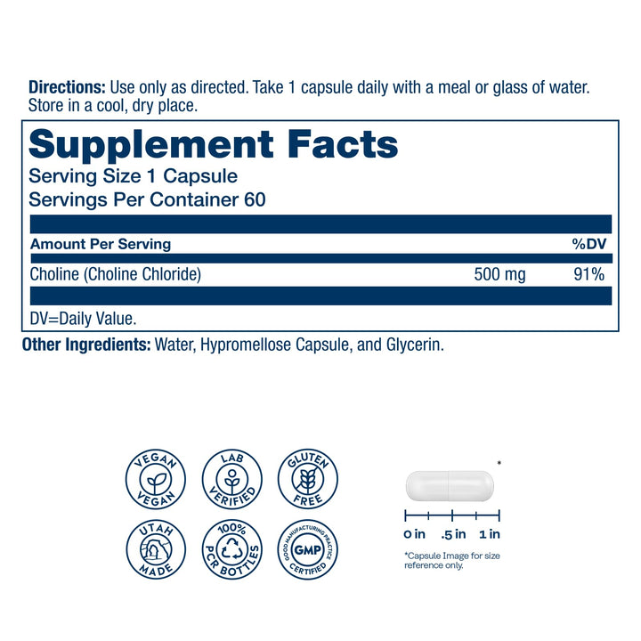 SOLARAY Choline 500 mg – Cognitive, Brain Health and Liver Support Supplement – Powerful Brain Supplement &amp; Choline Source for Adults – Odor-Free, Vegan Liquid VegCaps – 60 Servings, 60 Capsules