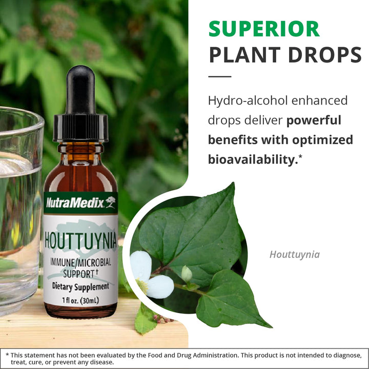 NutraMedix Houttuynia - Gastrointestinal, Immune System &amp; Microbial Support Tincture - Helps with Digestion, GI Health &amp; Body Detox Cleanse - Plant-Based Liquid Drops (1 oz / 30 ml)