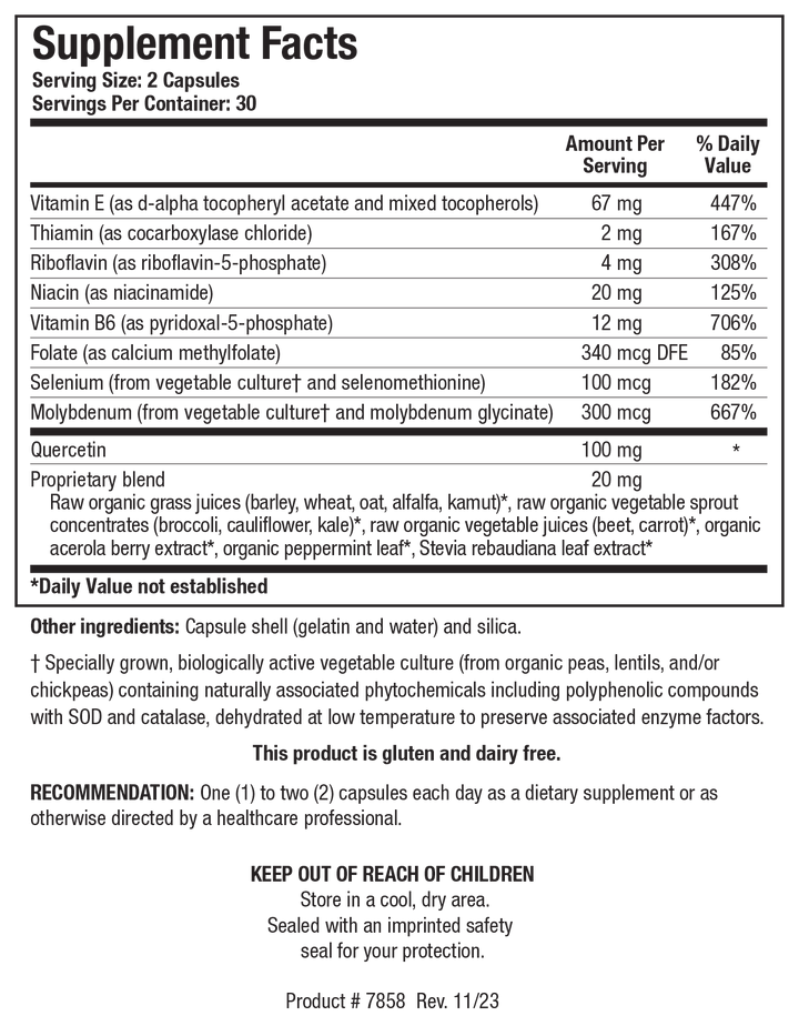 Biotics Research TolerAid 60 Capsules - Supplement Facts panel
