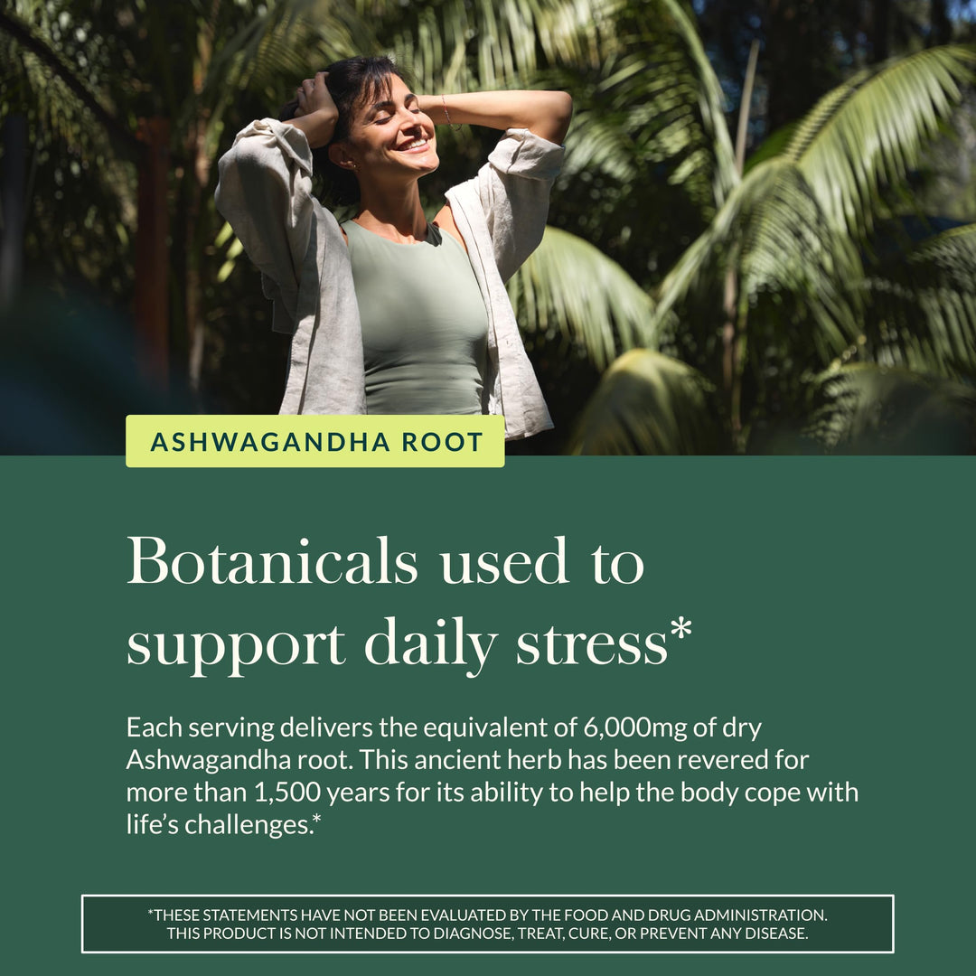 Gaia Herbs Organic Ashwagandha Gummies - Stress Support* - Made with Cinnamon &amp; Ginger - Gluten Free &amp; Vegan - 120 Count (40 Servings)