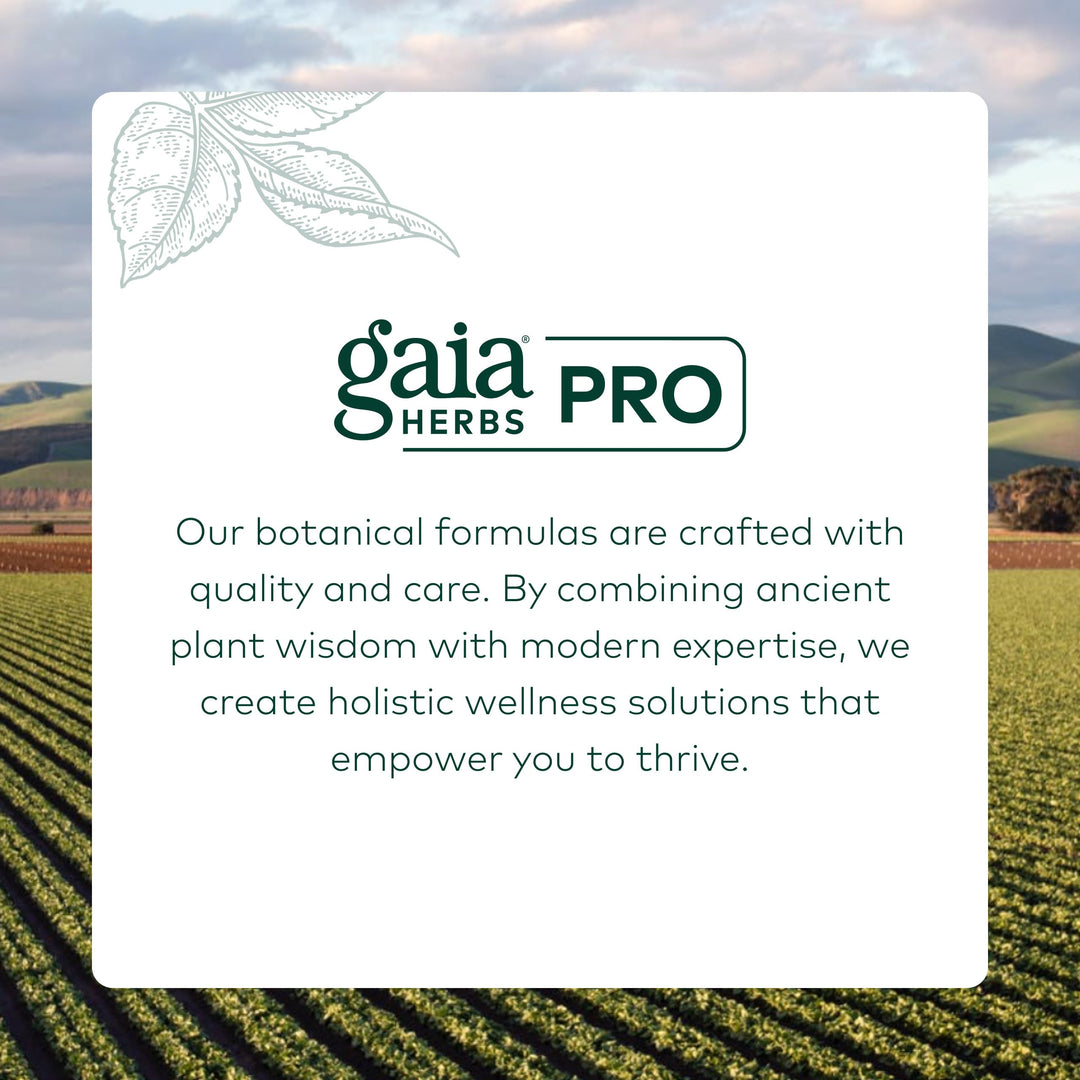 GAIA HERBS PRO AMPK Activator - Supports Cellular Energy - Contains Astragalus, Notoginseng &amp; Wellemon - Caffeine-Free - 90 Vegan Capsules