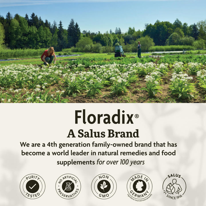 Salus Floradix Iron Kids - Liquid Iron &amp; Vitamin Formula - Children&