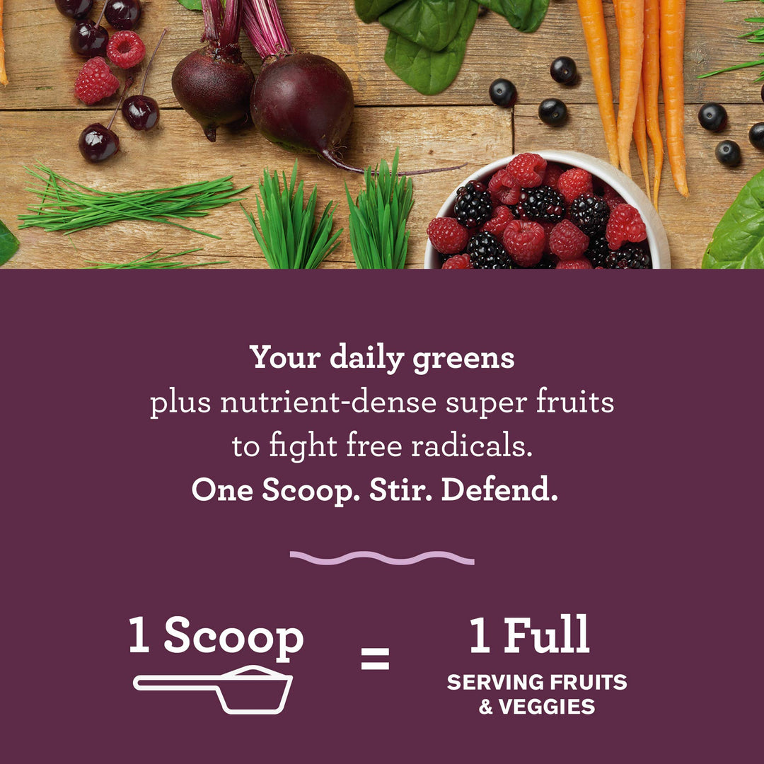 Amazing Grass Green Superfood Antioxidant: Super Greens Powder with Spirulina, Elderberry &amp; Probiotics, Sweet Berry, 15 Servings