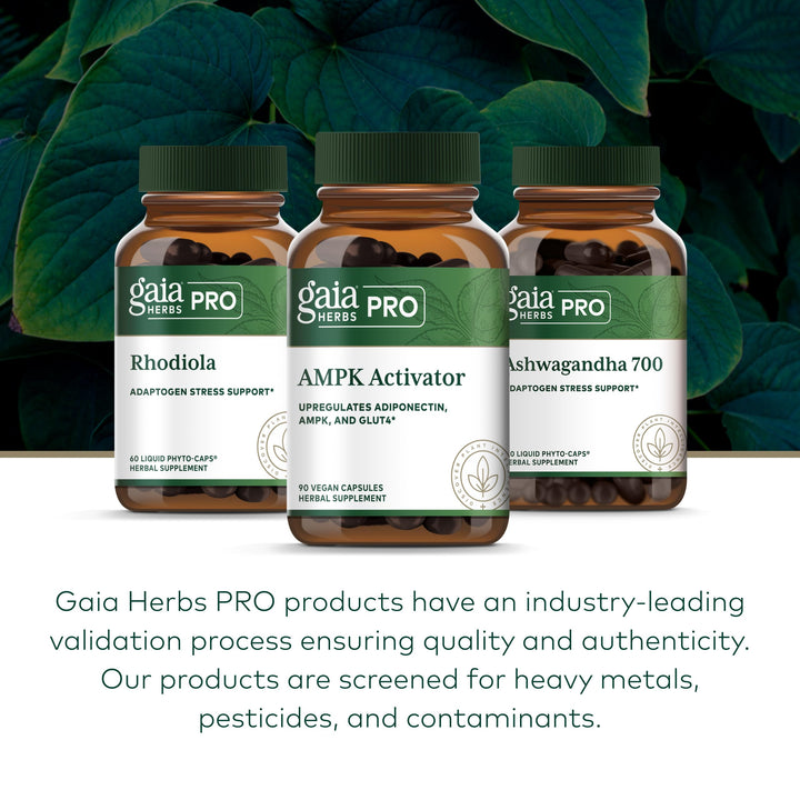 GAIA HERBS PRO AMPK Activator - Supports Cellular Energy - Contains Astragalus, Notoginseng &amp; Wellemon - Caffeine-Free - 90 Vegan Capsules