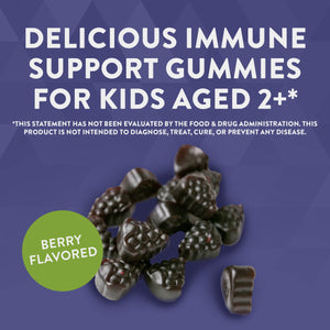 Nature's Way Sambucus Elderberry Gummies with Vitamin C and Zinc for Kids, Immune Support*, Berry Flavored, 60 Gummies - The Oasis of Health