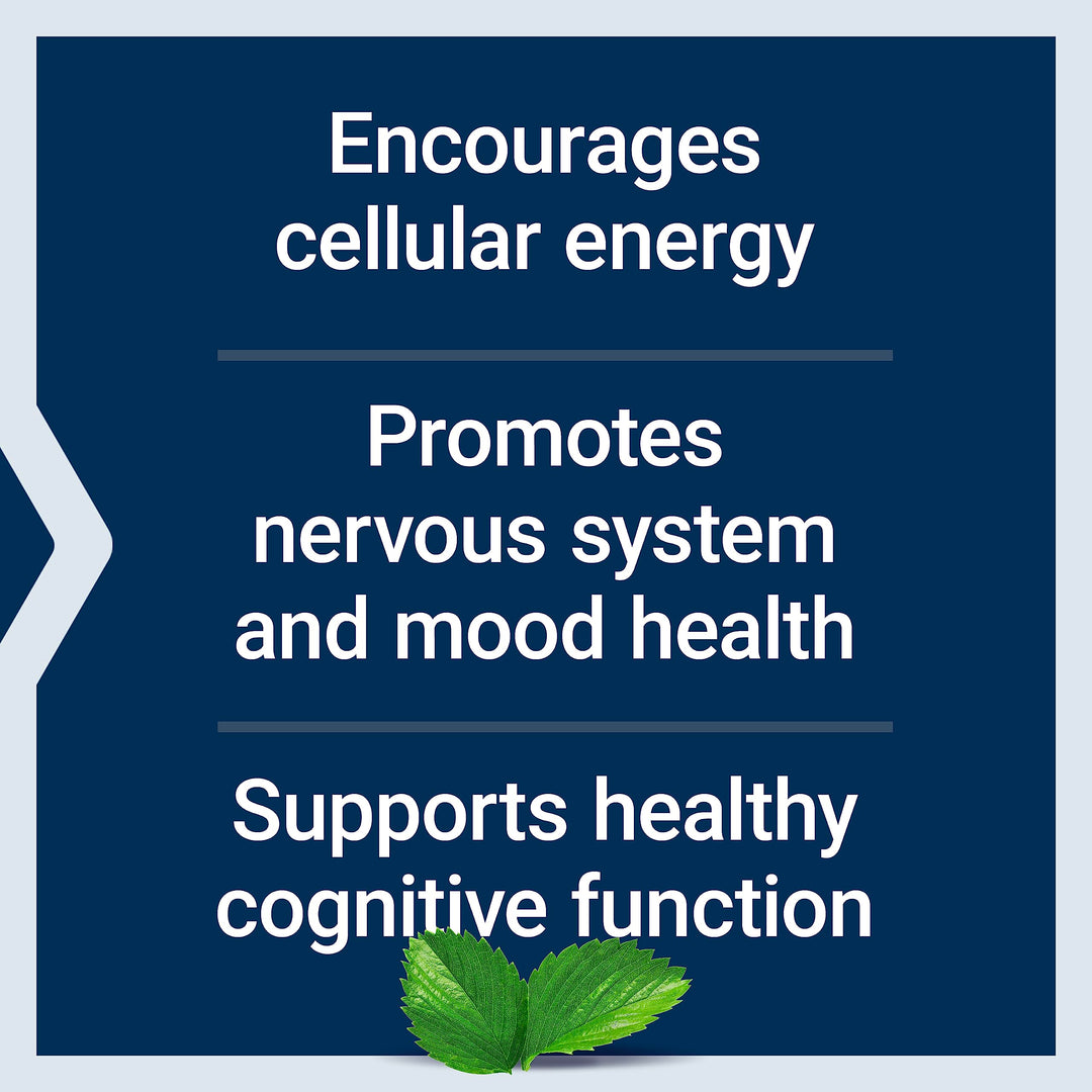 Life Extension Acetyl-L-Carnitine, Acetyl-L-Carnitine, Vitamin C, Brain, Mood &amp; Nerve Health, Cellular Energy, 3-Month Supply, Gluten-Free, Non-GMO, Vegetarian, 100 Capsules