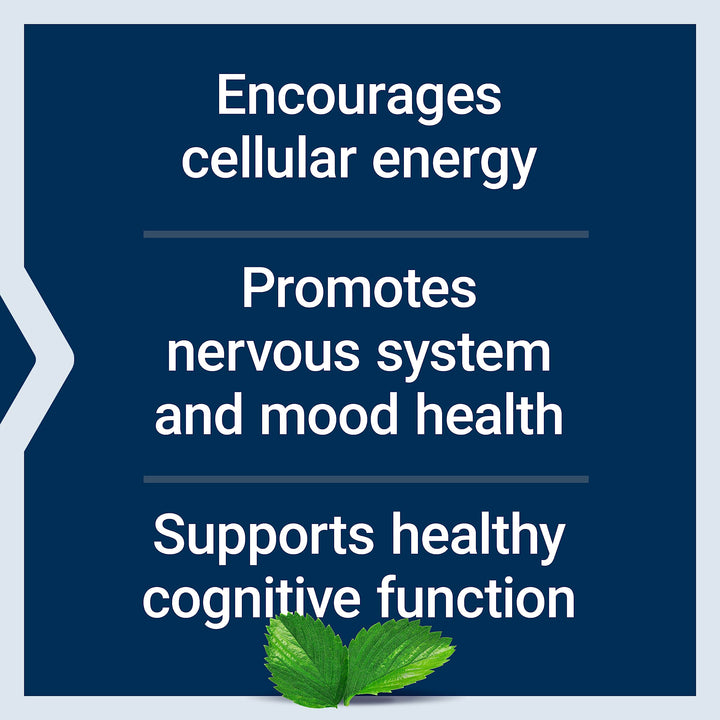 Life Extension Acetyl-L-Carnitine, Acetyl-L-Carnitine, Vitamin C, Brain, Mood &amp; Nerve Health, Cellular Energy, 3-Month Supply, Gluten-Free, Non-GMO, Vegetarian, 100 Capsules