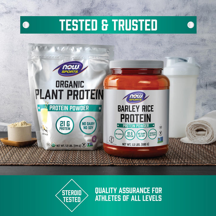 Now Sports Pumpkin Seed Protein Organic Powder 1 Pound - 2227