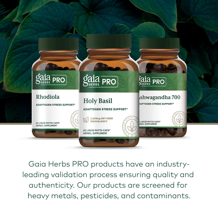 GAIA HERBS PRO Holy Basil - Stress Support Supplement - Contains Organic Holy Basil Leaf - Vegan, Gluten-Free &amp; Soy-Free - 60 Liquid Phyto-Caps (60 Servings)