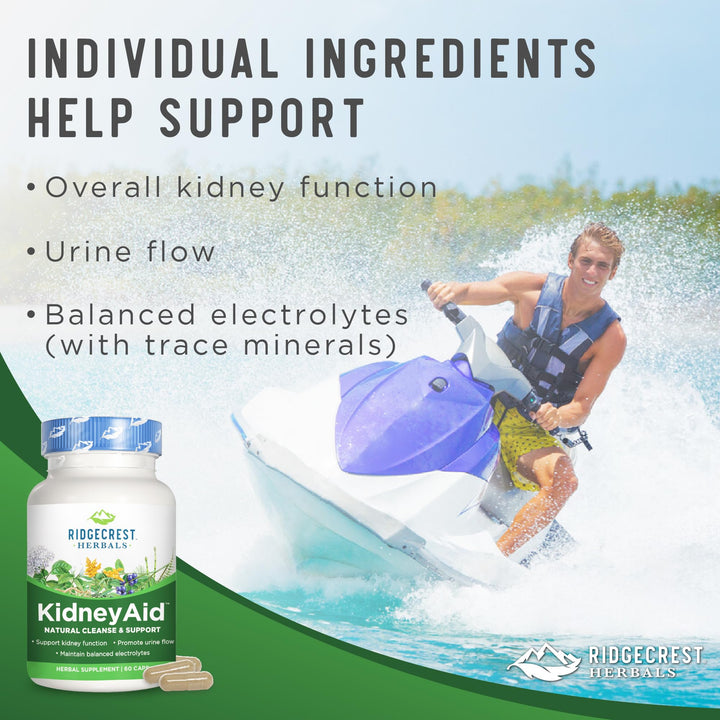 Ridgecrest Herbals KidneyAid, Kidney Health Support Supplement, Hydrangea, Horsetail, Urinary Tract Health Support, Trace Mineral (60 Caps, 30 Serv)