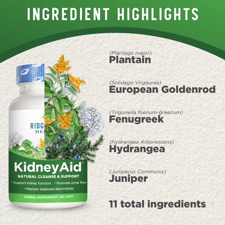 Ridgecrest Herbals KidneyAid, Kidney Health Support Supplement, Hydrangea, Horsetail, Urinary Tract Health Support, Trace Mineral (60 Caps, 30 Serv)