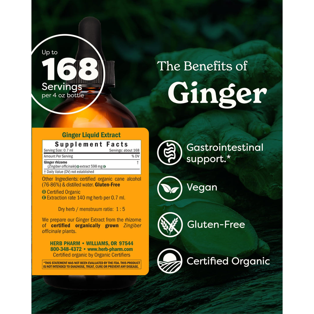 USDA Organic Ginger Root Extract*: Digestion &amp; Circulatory Support | Ginger Tincture for Occasional Nausea | Non-Bitter Vegan Digestive Supplement | 4 Oz, Up to 3 Months Supply