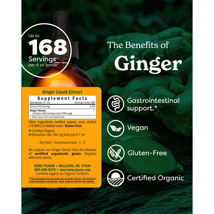 USDA Organic Ginger Root Extract*: Digestion &amp; Circulatory Support | Ginger Tincture for Occasional Nausea | Non-Bitter Vegan Digestive Supplement | 4 Oz, Up to 3 Months Supply