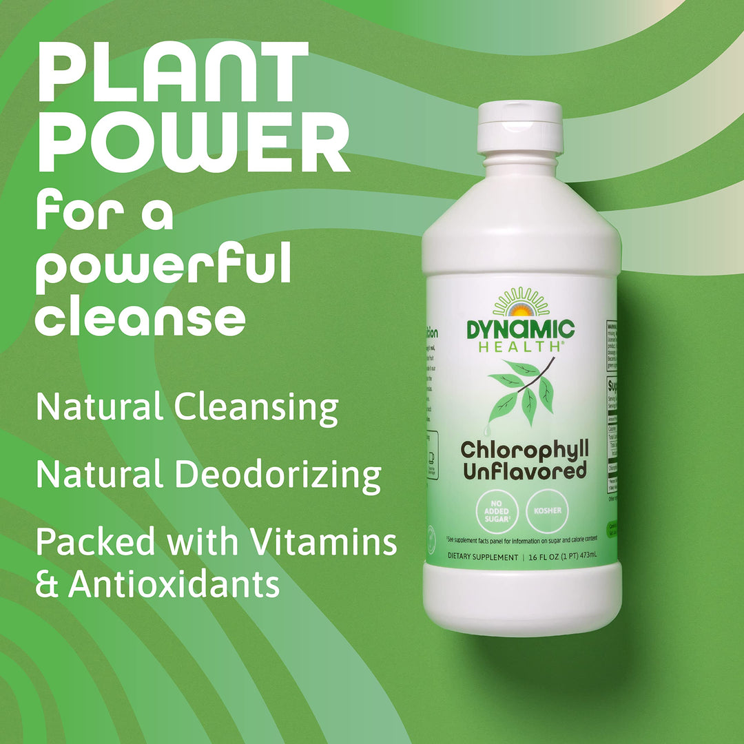 Dynamic Health Liquid Chlorophyll Unflavored 100 mg, Sodium Copper Chlorophyllins with Alfalfa and Mulberry Leaves, Plant Cleanse and Deodorizing, No Added Sugar, 16 Fl Oz