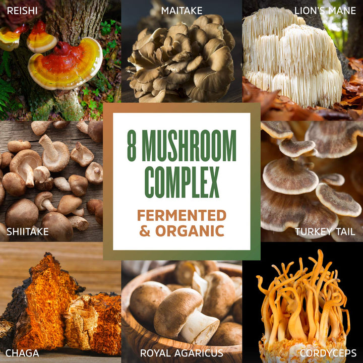 ZHOU Mushroom 8-Plex - Mushroom Supplement, Powder Blend, Coffee Alternative for Adults, Nootropic Complex for Health with Chaga, Lions Mane, Reishi &amp; Turkey Tail - 2.14oz (30 Servings)