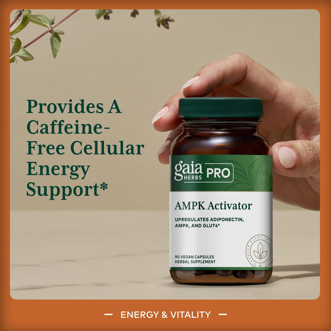 GAIA HERBS PRO AMPK Activator - Supports Cellular Energy - Contains Astragalus, Notoginseng &amp; Wellemon - Caffeine-Free - 90 Vegan Capsules