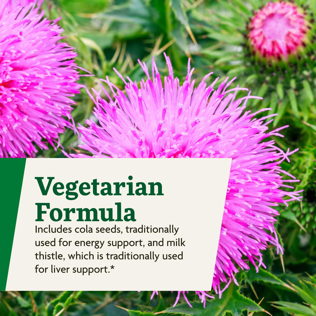 Floradix Epresat Adult Liquid Multivitamin - Herbal Supplement - Daily Supplement with Vitamin A, D, B6, Milk Thistle &amp; More - Supports Energy &amp; Liver Health - Vegetarian, Non-GMO - 8.5 fl oz