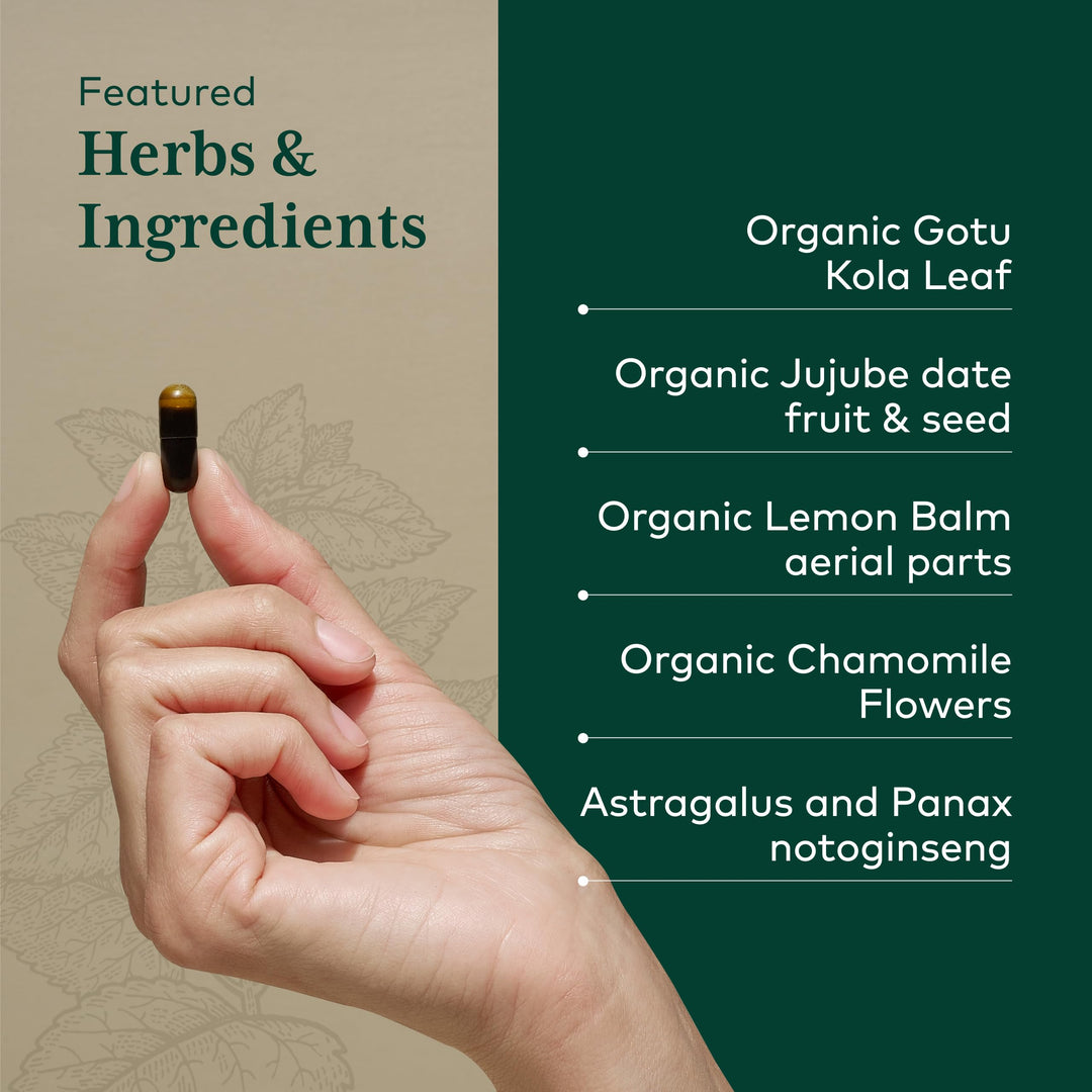 GAIA HERBS PRO EpiVital - Digestive Health Support - Contains Astragalus Root, Panax Notoginseng, Gotu Kola &amp; More - 90 Vegan Liquid Phyto-Caps