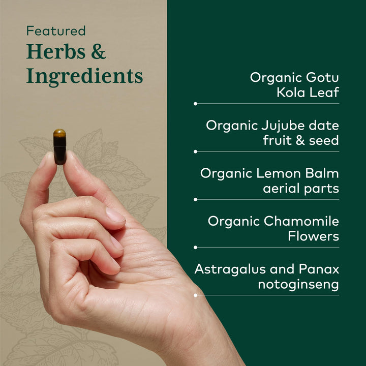 GAIA HERBS PRO EpiVital - Digestive Health Support - Contains Astragalus Root, Panax Notoginseng, Gotu Kola &amp; More - 90 Vegan Liquid Phyto-Caps
