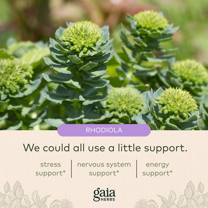 Gaia Herbs Adrenal Health Daily Support - Herbal Supplement with Ashwagandha, Holy Basil &amp; Sch