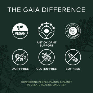 Gaia Herbs Black Elderberry - Daily Immune Support Supplement to Help Maintain Well-Being - with Black Elderberries and Acerola Fruit for Antioxidant Support - 60 Vegan Capsules (30-Day Supply) - The Oasis of Health