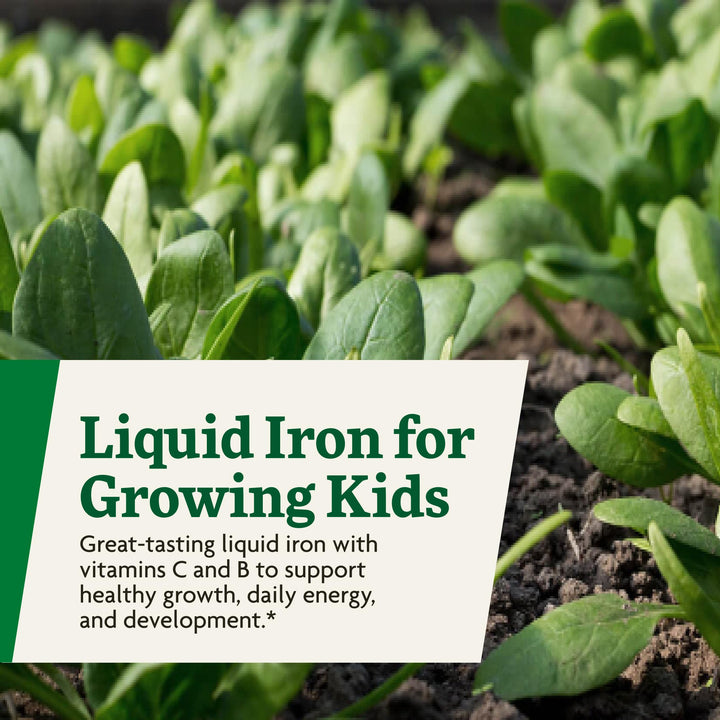 Salus Floradix Iron Kids - Liquid Iron &amp; Vitamin Formula - Children&