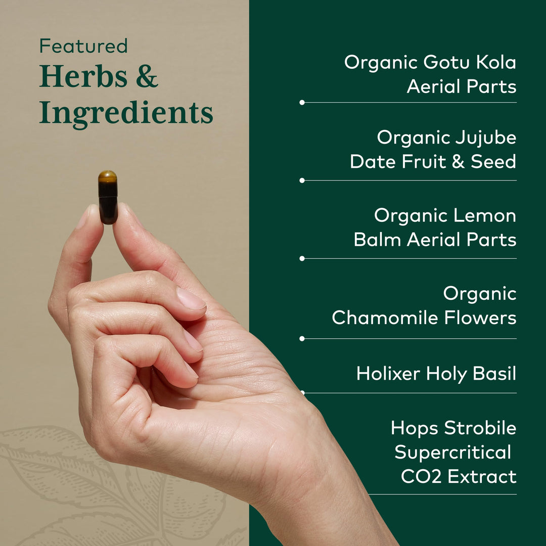 GAIA HERBS PRO GI Stress - Digestion Supplement for Times of Stress - Contains Holy Basil, Lemon Balm, Chamomile &amp; More - 60 Liquid Phyto-Caps
