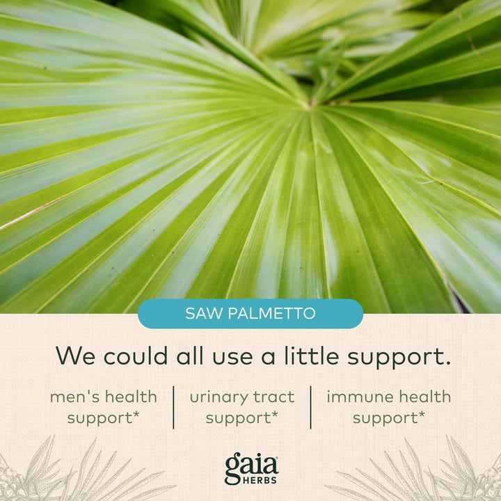 Gaia Herbs Saw Palmetto - Supports Healthy Prostate Function &amp; Urinary Health - Saw Palmetto &amp; Sunflower Seed Lecithin to Support Men&