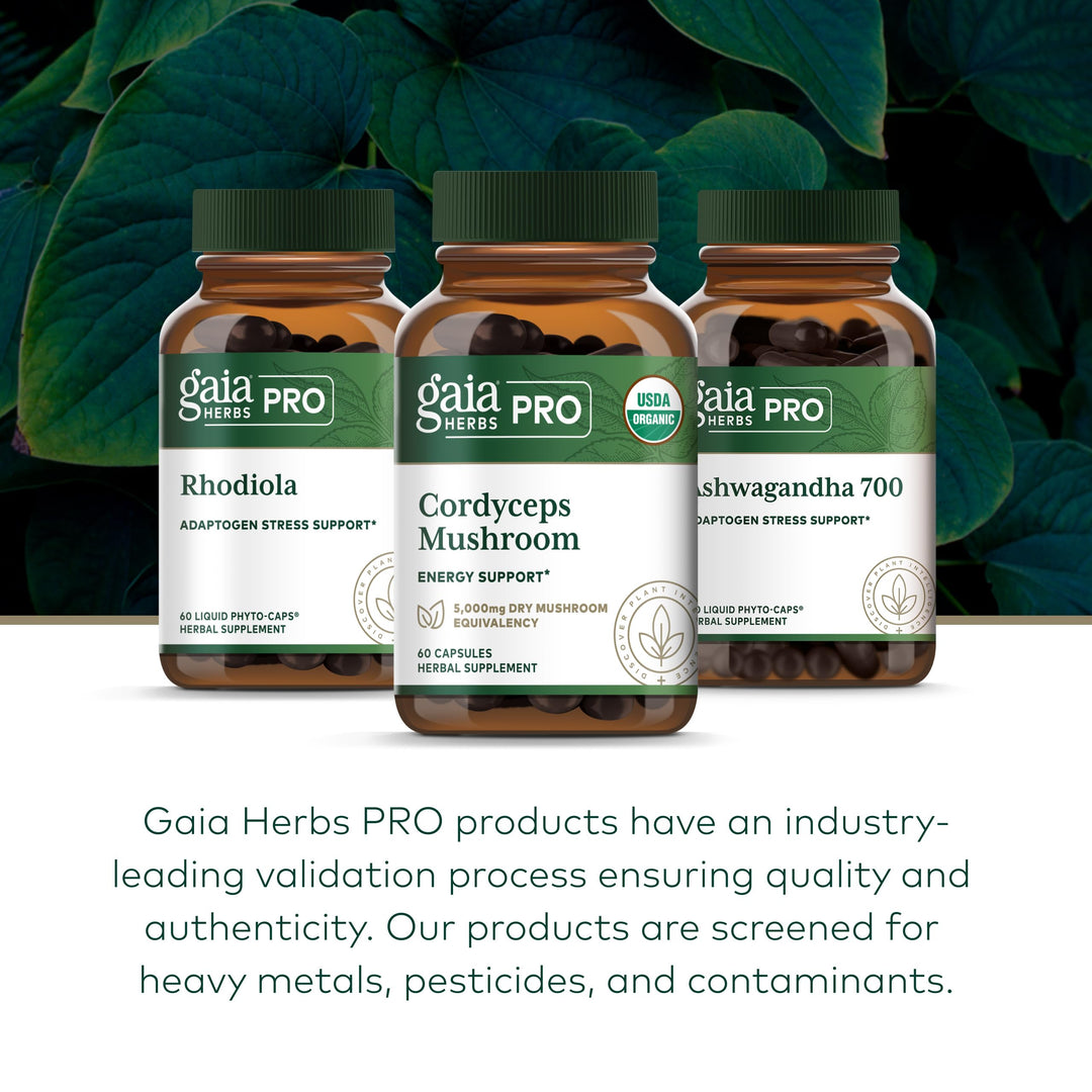 GAIA HERBS PRO Cordyceps Mushroom - 60 Caps